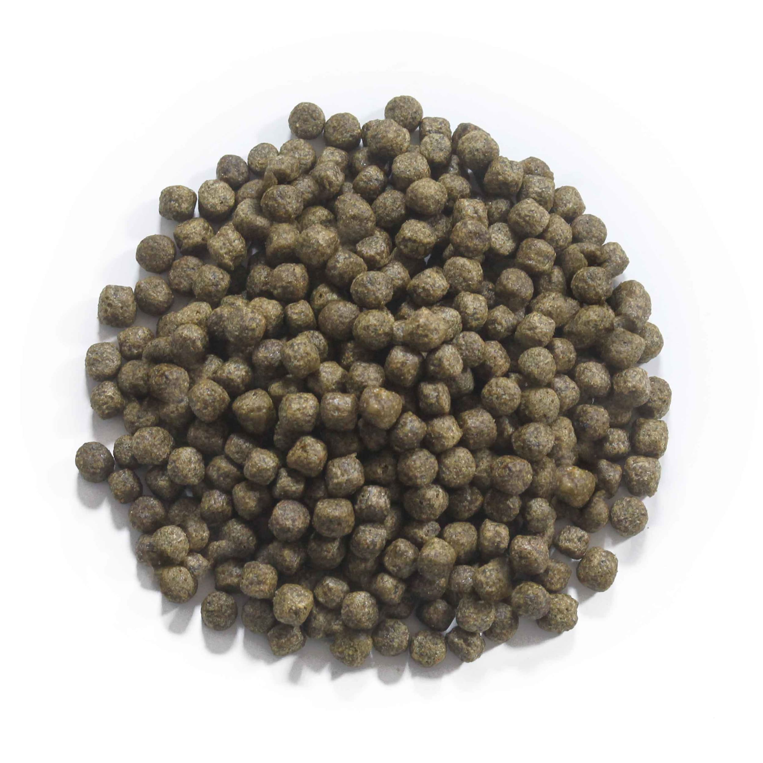 Staple 6 mm 15 kg