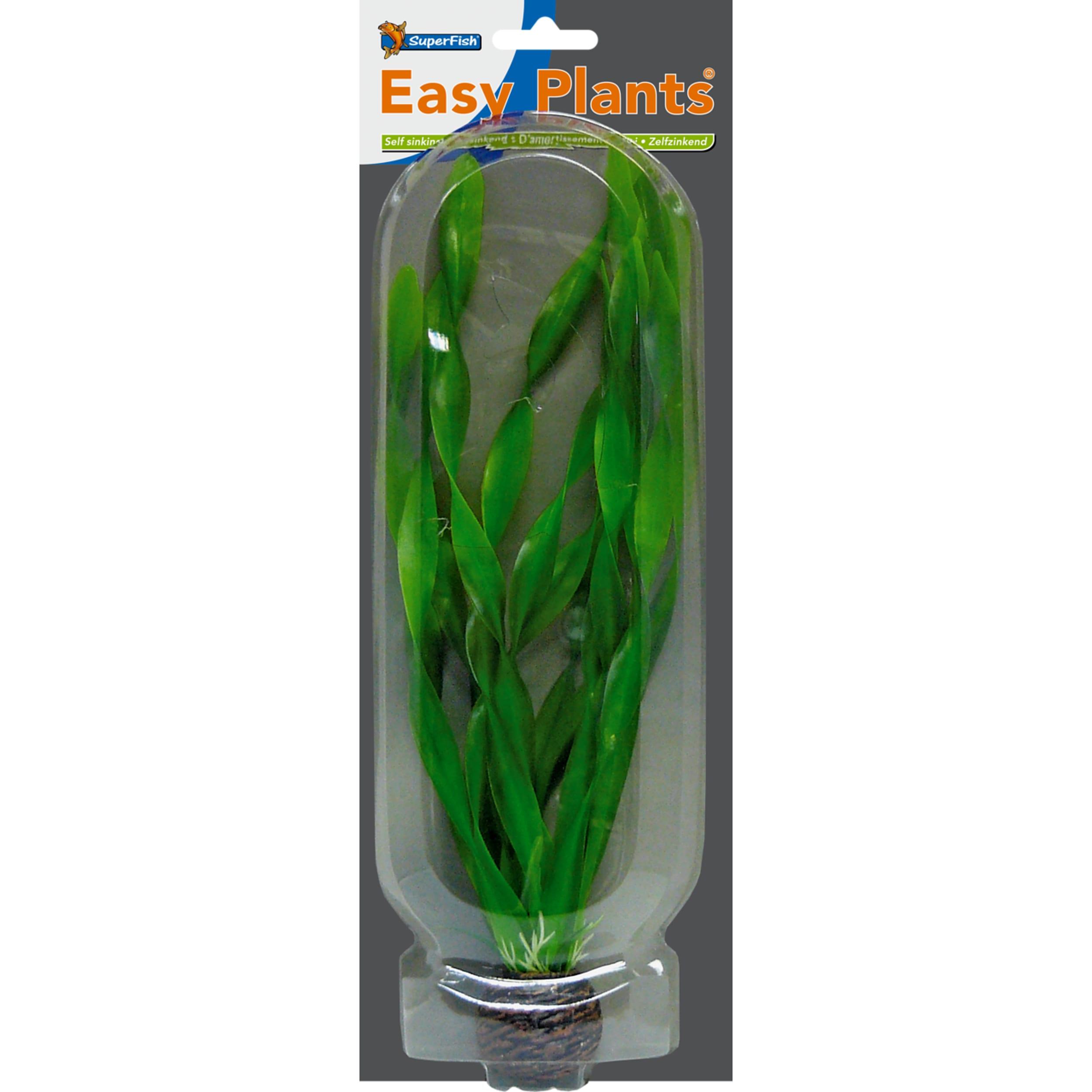 Einfache Pflanze hoch 30 cm nr. 6 Aquatic, Water, Plant, Seaweed
