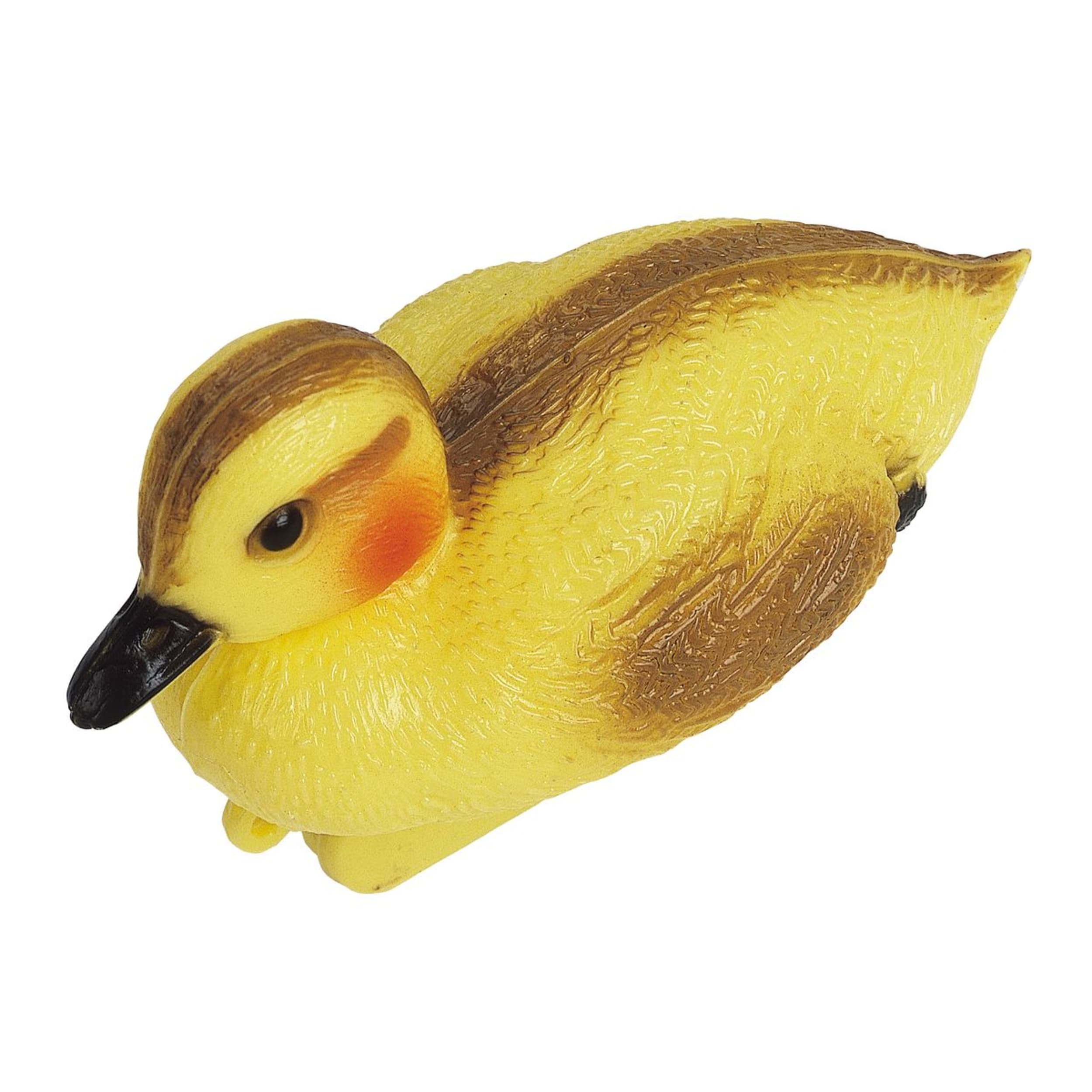 Vijverfiguur Eendekuiken Dier, Snavel, Vogel