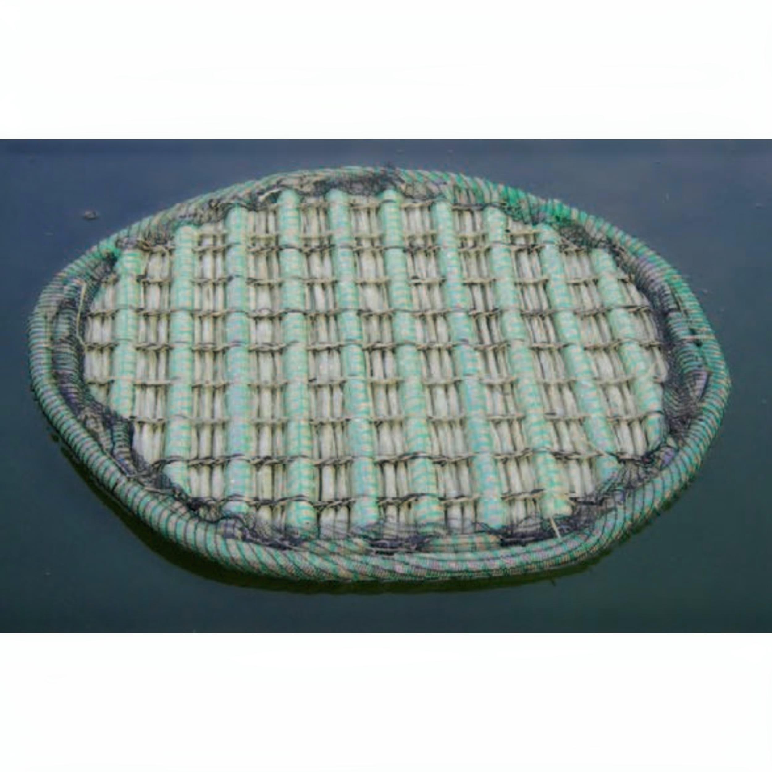 Schwimmende Pflanzeninsel rund Typ Ø 81 Home Decor, Rug, Boat, Transportation, Vehicle