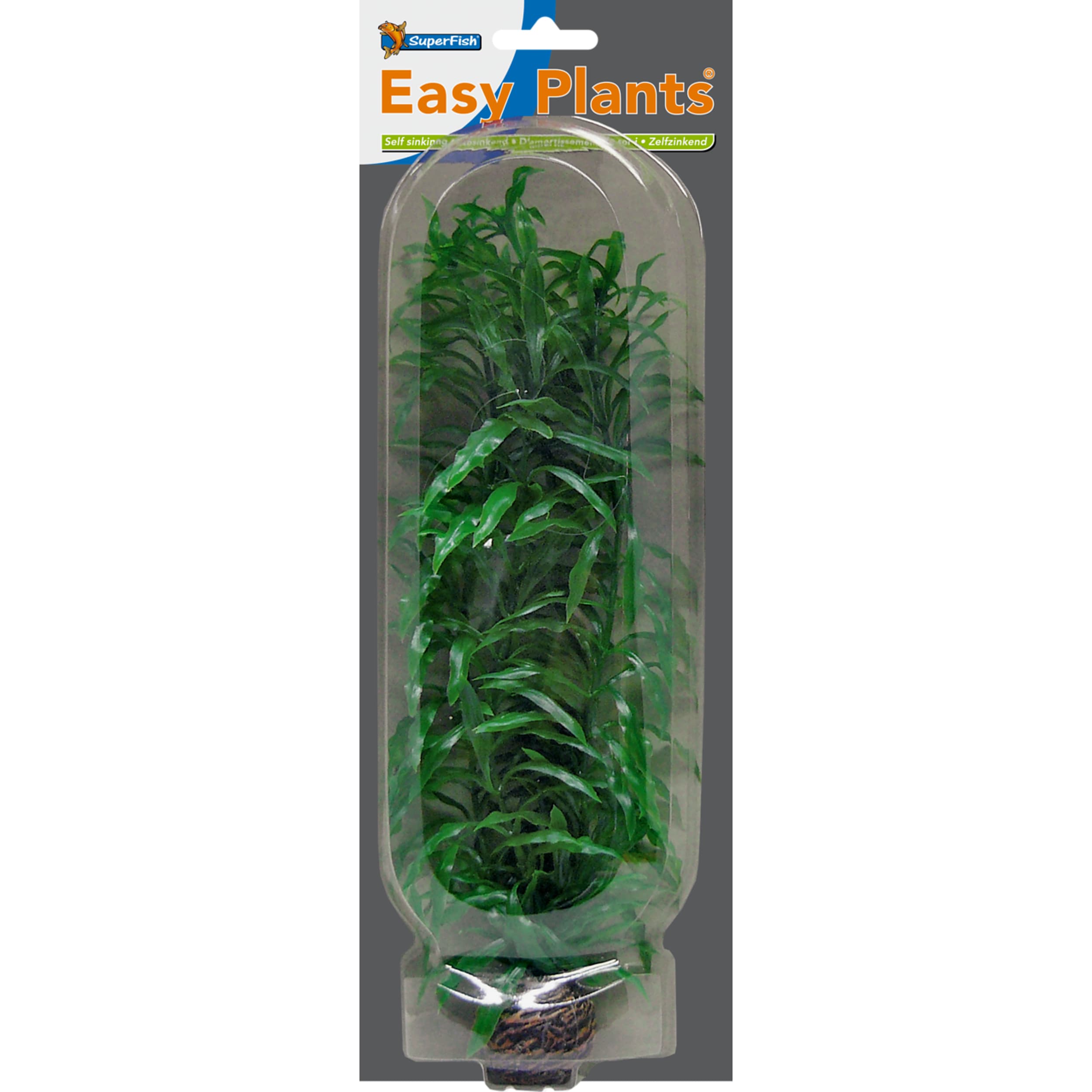 Einfache Pflanze hoch 30 cm nr. 2 Plant, Herbal, Potted Plant, Hemp, Aquatic