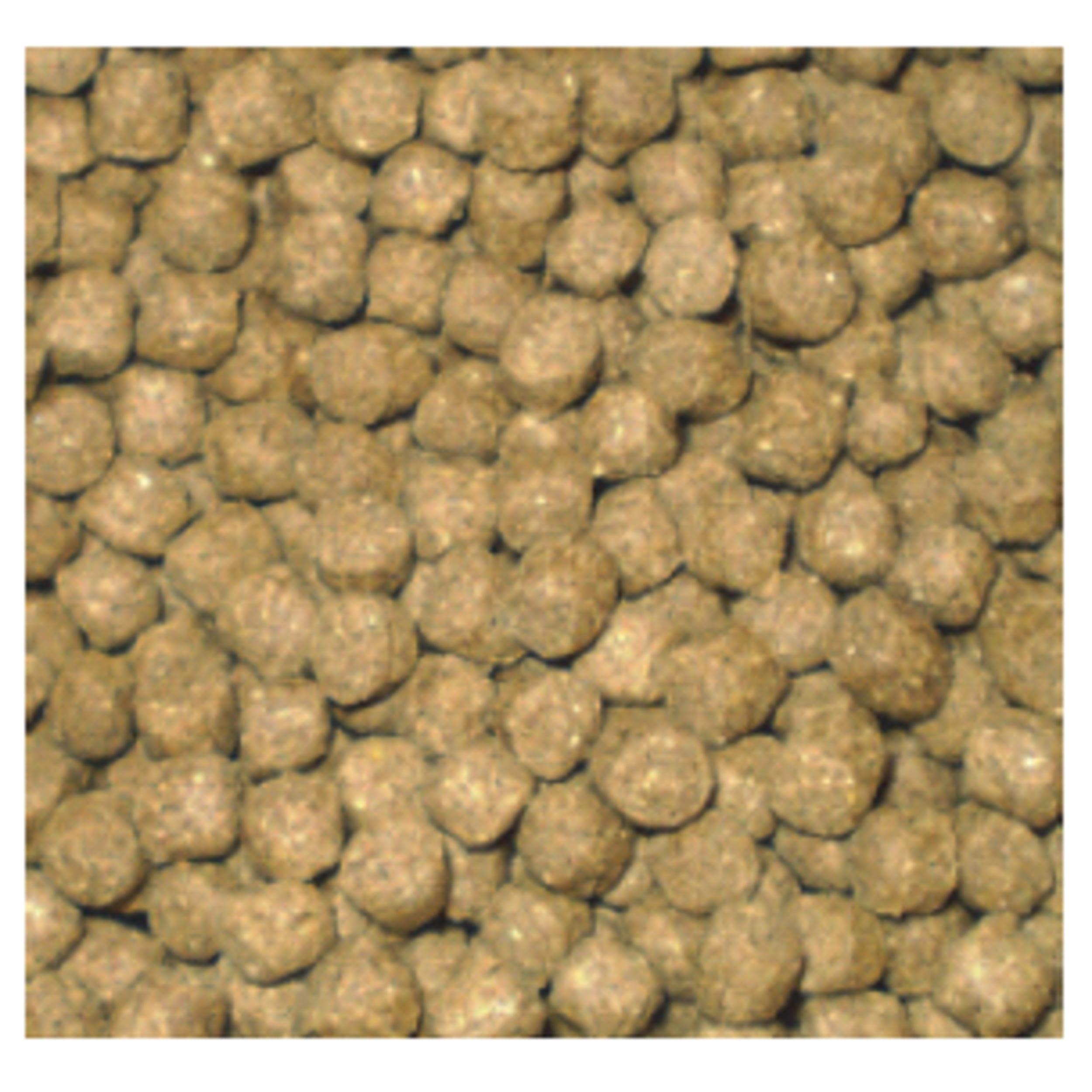 Wheatgerm 15 Kilo (6 mm) Voedsel