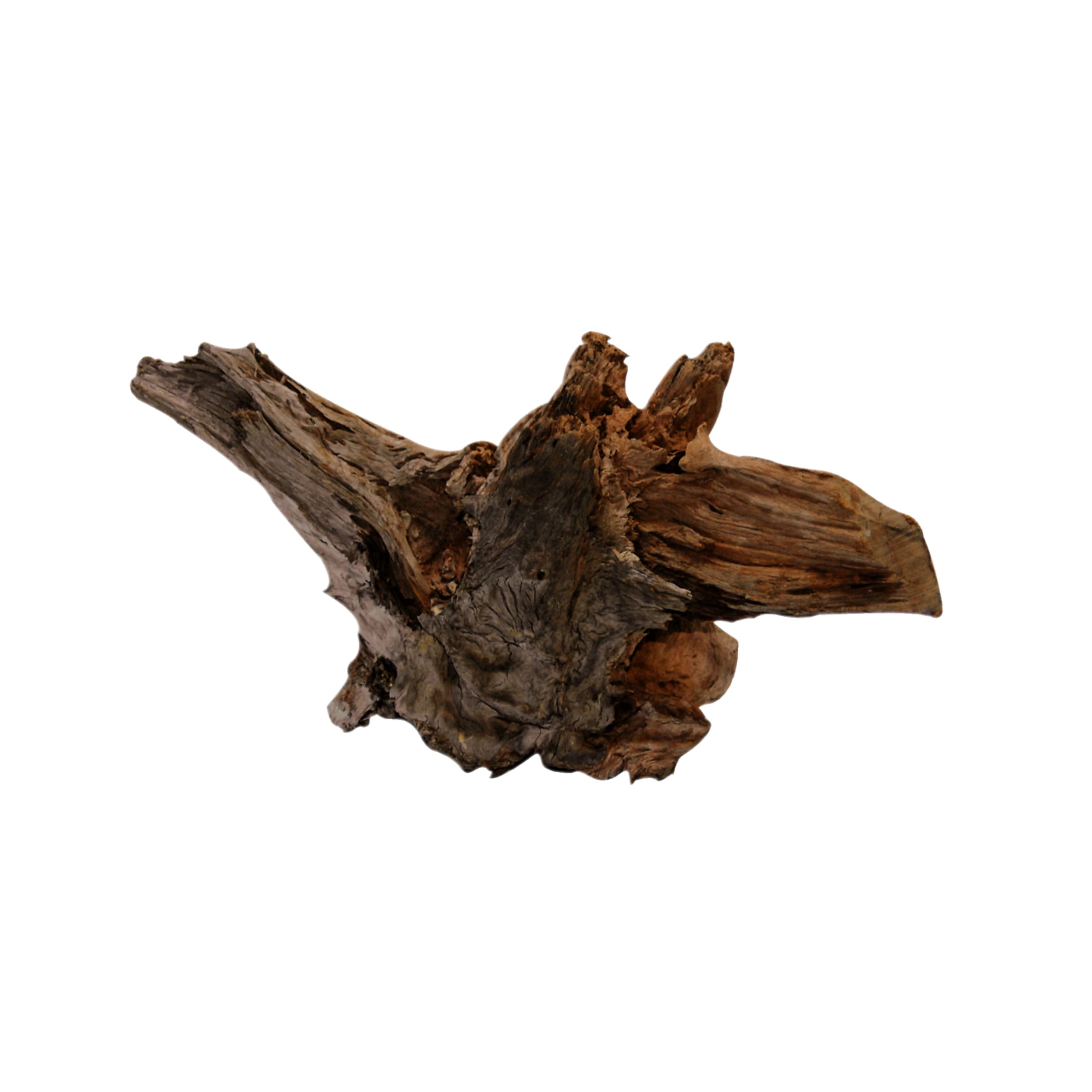 Driftwood X-Large Wood, Plant, Tree, Driftwood