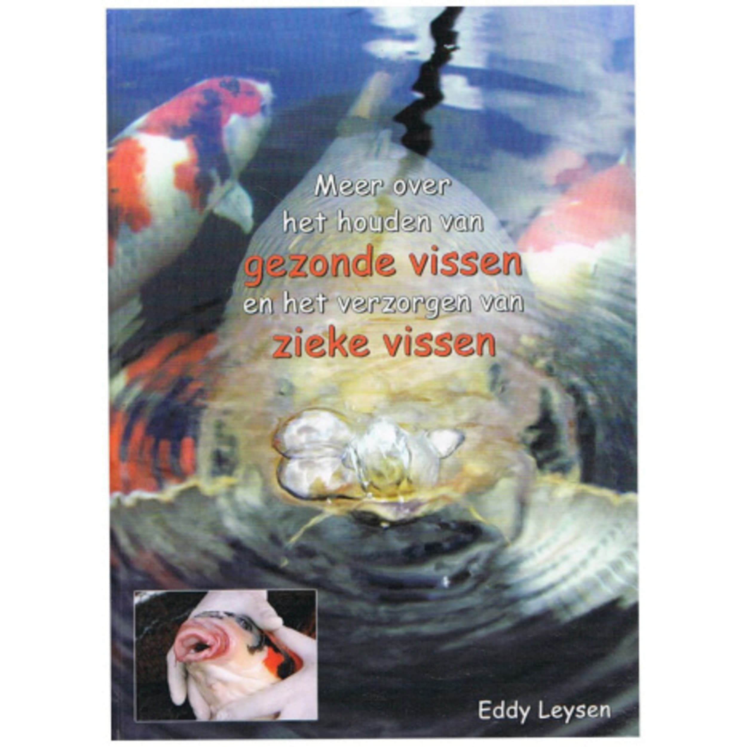 More on keeping KOI OP=OP Animal, Carp, Sea Life, Person, Koi