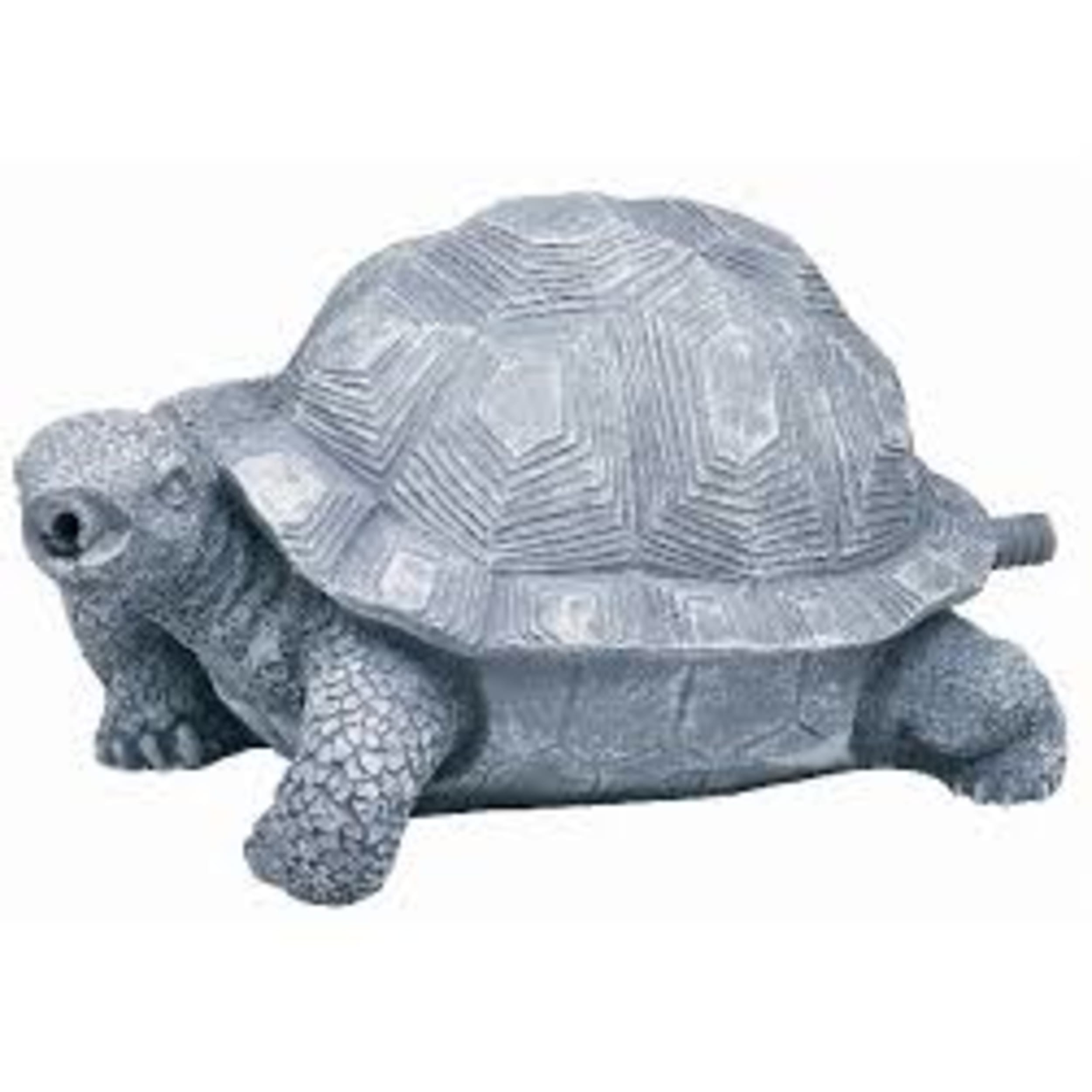 Spuitfiguur schildpad Dier, Reptiel, Zeeleven, Schildpad