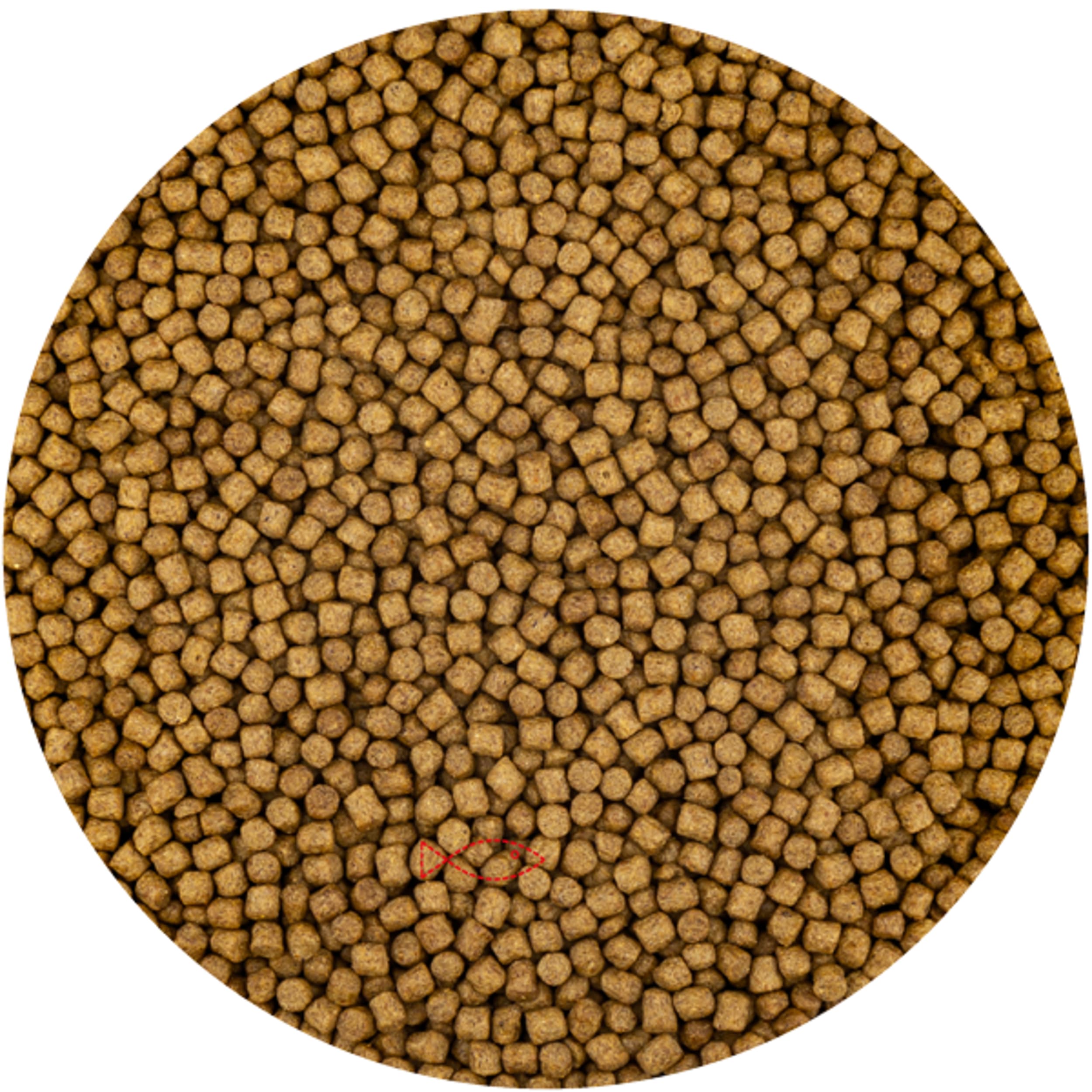 Wheat Germ 6mm (5 liters of bucket) Home Decor